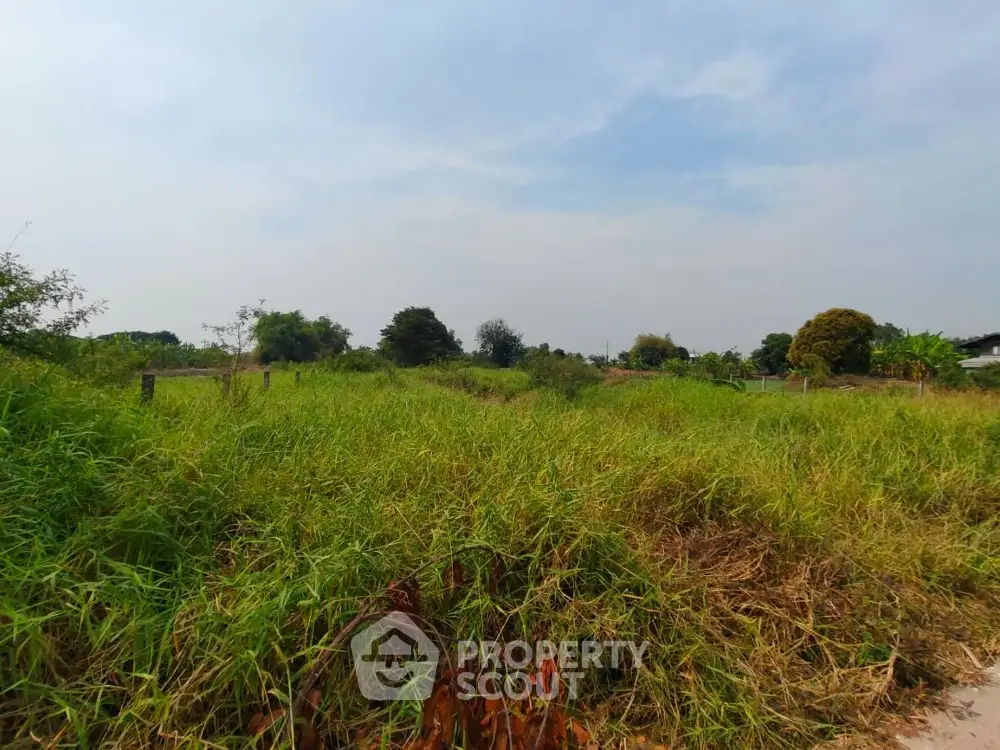 Expansive green land plot ideal for development with lush vegetation and serene surroundings.