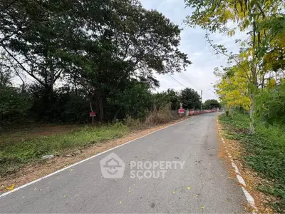 Scenic road view with lush greenery and trees, ideal for real estate development.