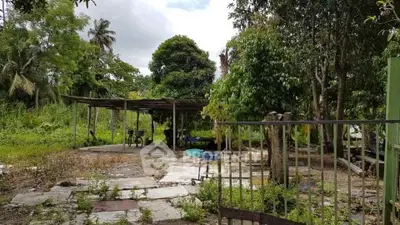 Spacious garden area with lush greenery and rustic charm, perfect for outdoor activities.