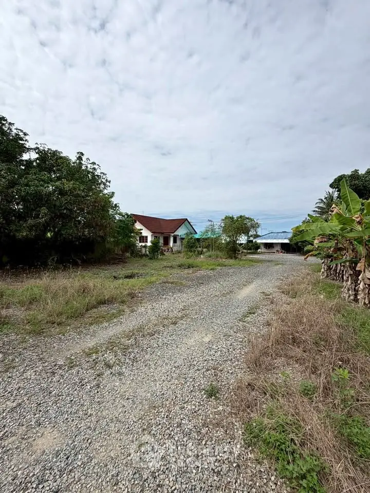 Charming rural property with spacious land and cozy house, ideal for serene living.
