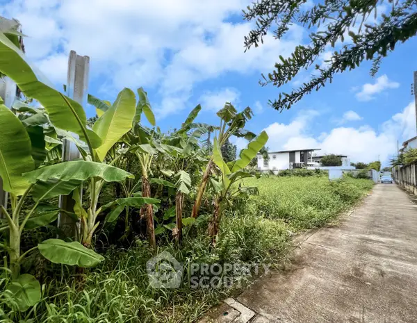 image_rental-19208185