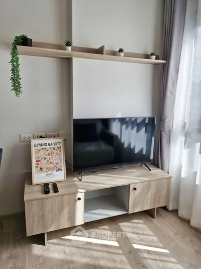 Modern living room with stylish TV stand and decor in bright natural light.