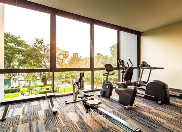 Modern gym with exercise equipment and large windows overlooking greenery