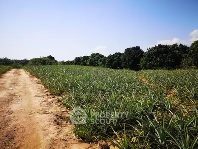 Expansive agricultural land with lush greenery and clear blue sky, ideal for farming opportunities.