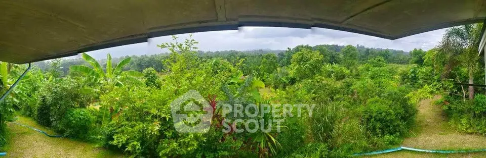 Expansive lush garden view from a covered patio, perfect for nature lovers seeking tranquility.