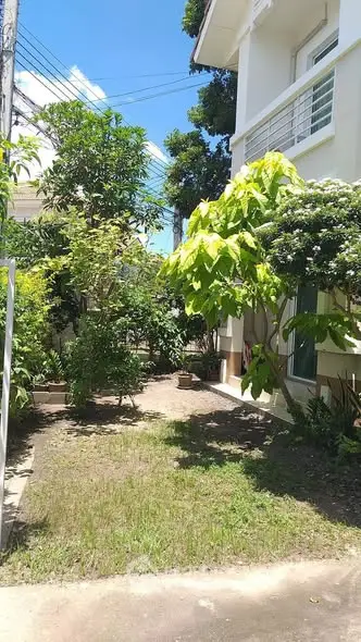 Charming garden view of a modern house exterior with lush greenery.