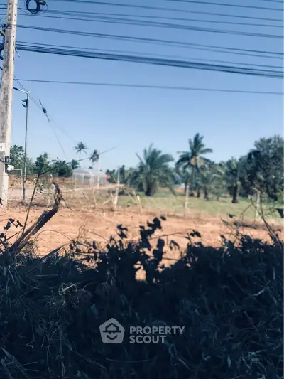 image_rental-28025476