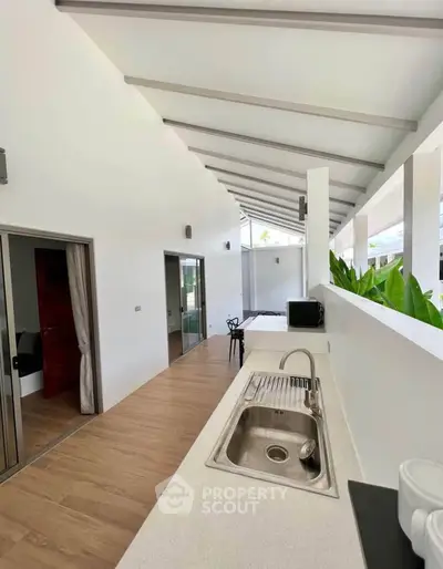 Modern open-plan kitchen with sleek design and natural light