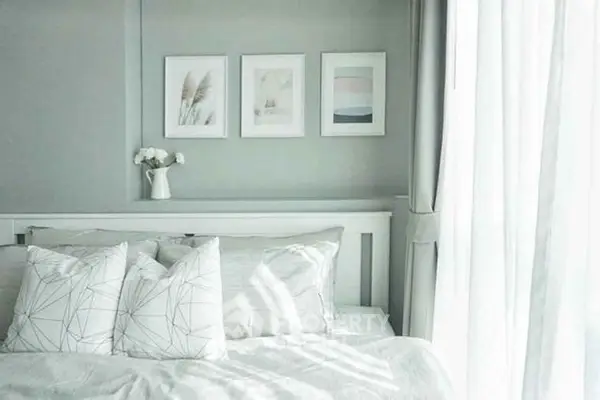 image_rental-4244423