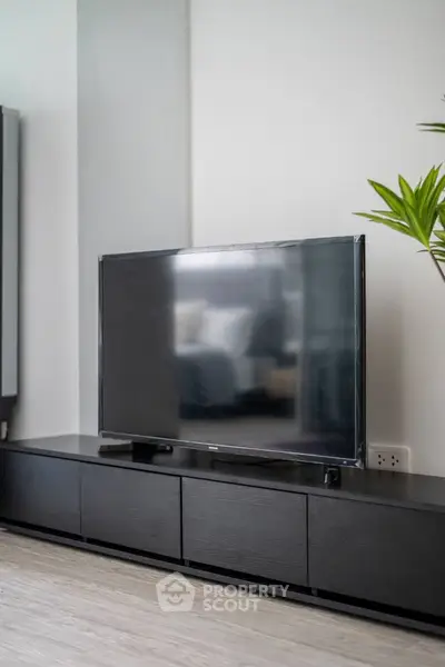 Modern living room with sleek black TV stand and flat-screen television