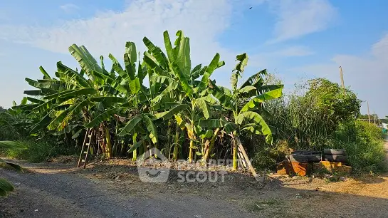 image_rental-21902509