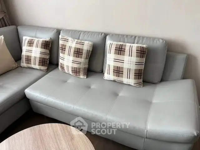 Modern living room with stylish gray sofa and plaid cushions
