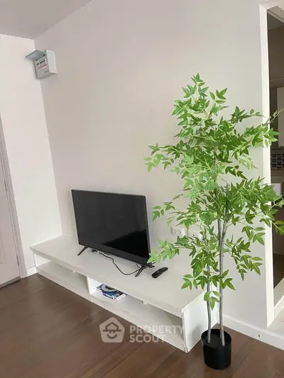 Modern living room with sleek TV setup and stylish indoor plant