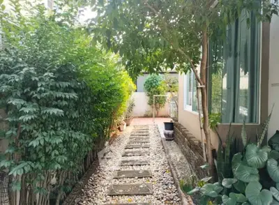 Charming garden pathway with lush greenery and modern exterior view