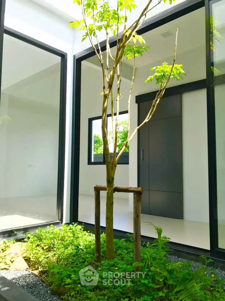 Modern home courtyard with lush greenery and large glass windows for natural light.