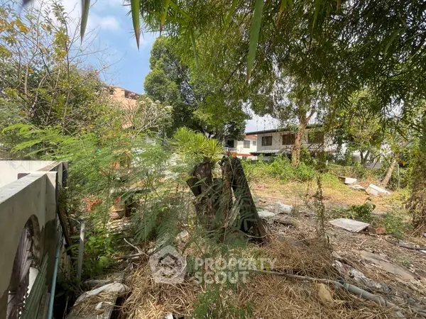 image_rental-16705544