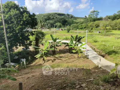 Scenic view of lush green garden with banana trees and pathway, perfect for nature lovers.