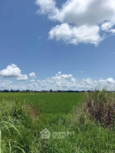 Expansive green field under a bright blue sky with fluffy clouds, perfect for agricultural development.