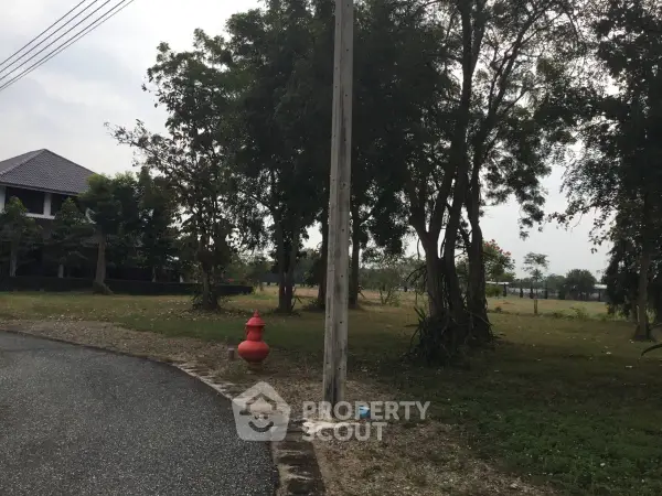 image_rental-27308427