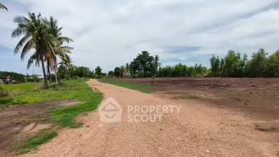 Expansive land plot with lush greenery and palm trees, perfect for development opportunities.