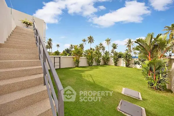 image_rental-29736442