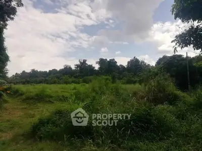 Expansive lush green land with clear skies, perfect for development or agriculture.