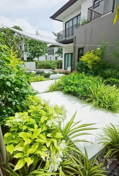 image_rental-27640245