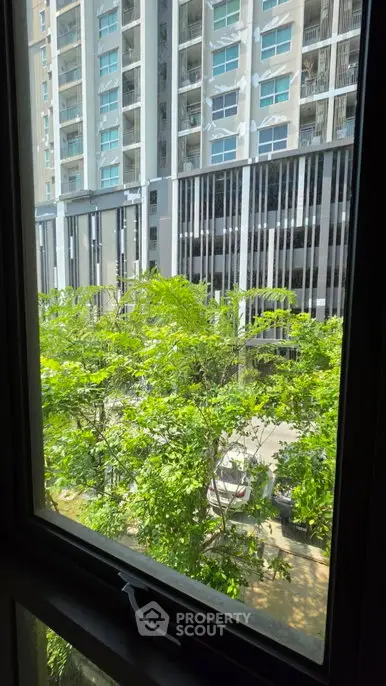 Stunning view from window overlooking lush greenery and modern building facade.