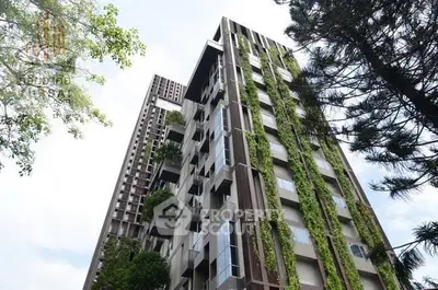 image_rental-30637925