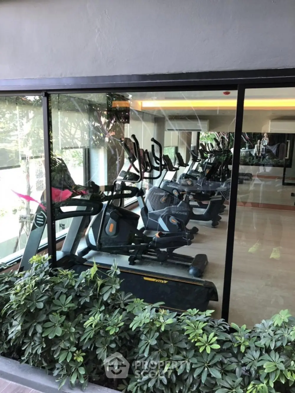 Modern gym with cardio equipment and lush greenery view