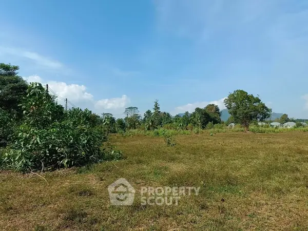 image_rental-29017460