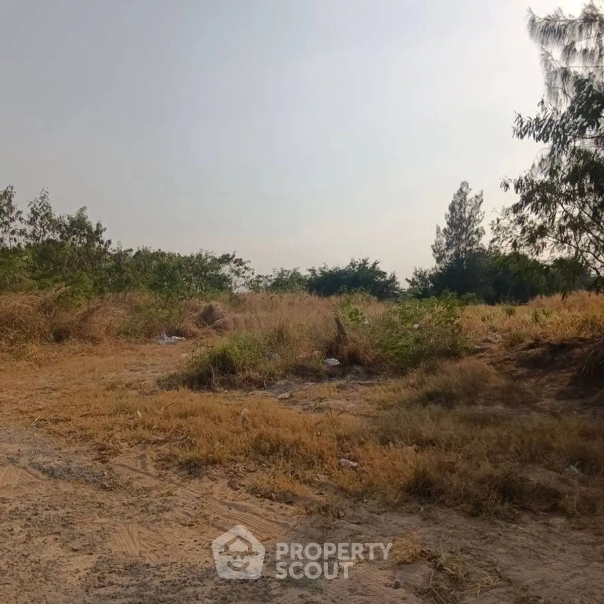 Expansive plot of land with natural vegetation, ideal for development opportunities.
