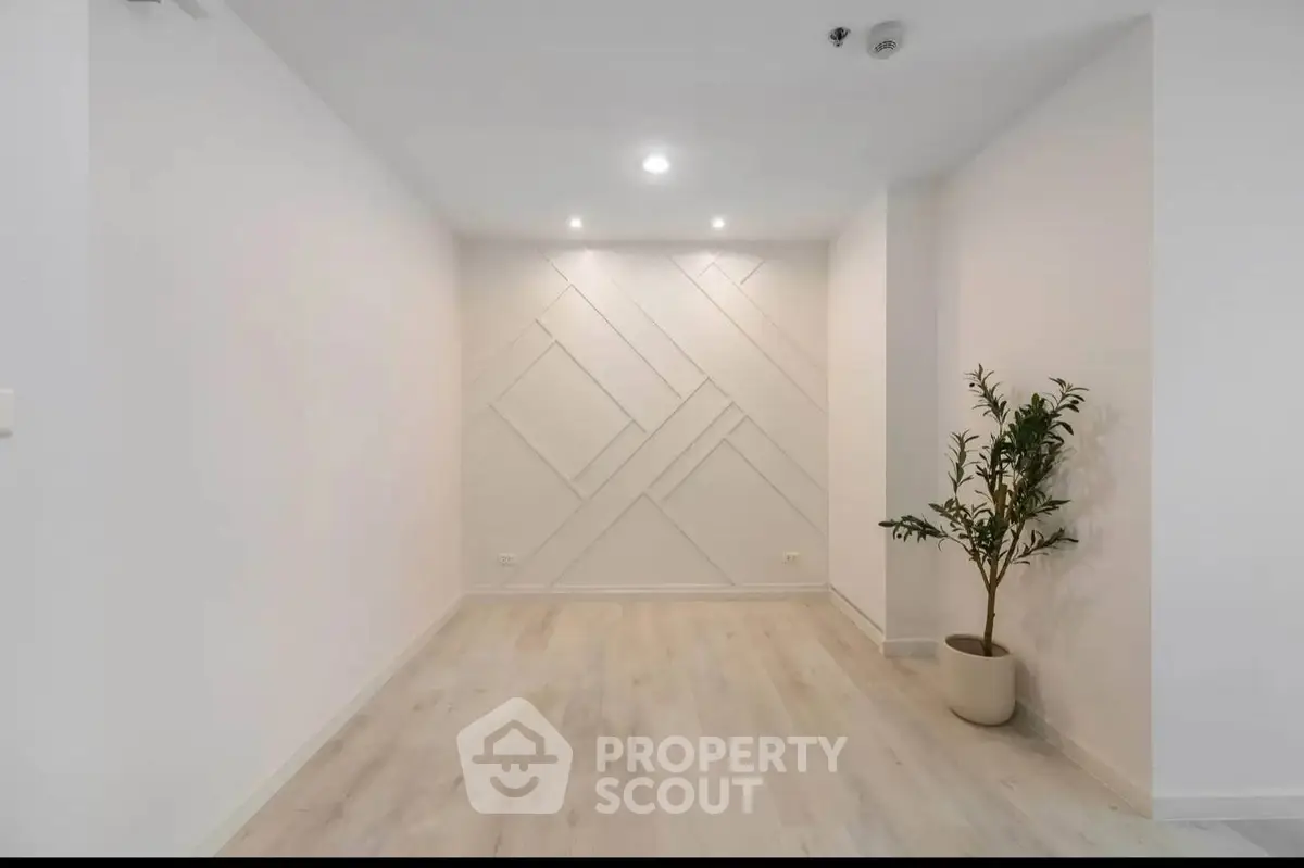 Minimalist interior with geometric wall design and potted plant