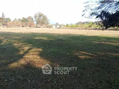 Expansive open land with lush greenery, perfect for development or agriculture.