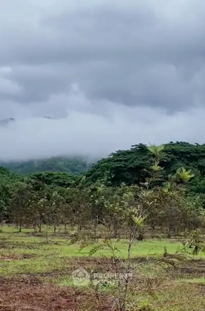 Screenshot 2568-12-15 at 11.22.48.jpg