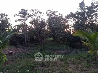 Lush green land with mature trees, perfect for development or agriculture.