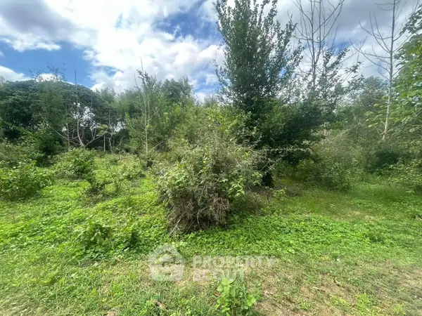 image_rental-19327835