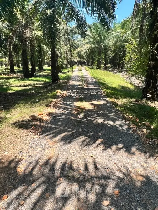 image_rental-29526891