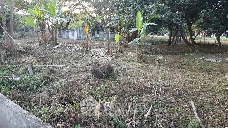 Spacious land plot with lush greenery and mature trees, ideal for development or agriculture.