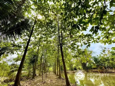 Lush garden with tall trees and serene pond, perfect for nature lovers seeking tranquility.