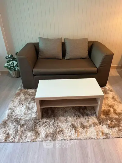 Cozy living room with plush rug, modern sofa, and sleek coffee table.