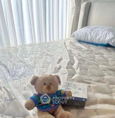 image_rental-29971520