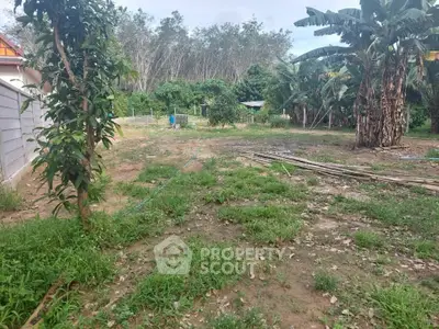 Spacious garden plot with lush greenery and potential for landscaping.