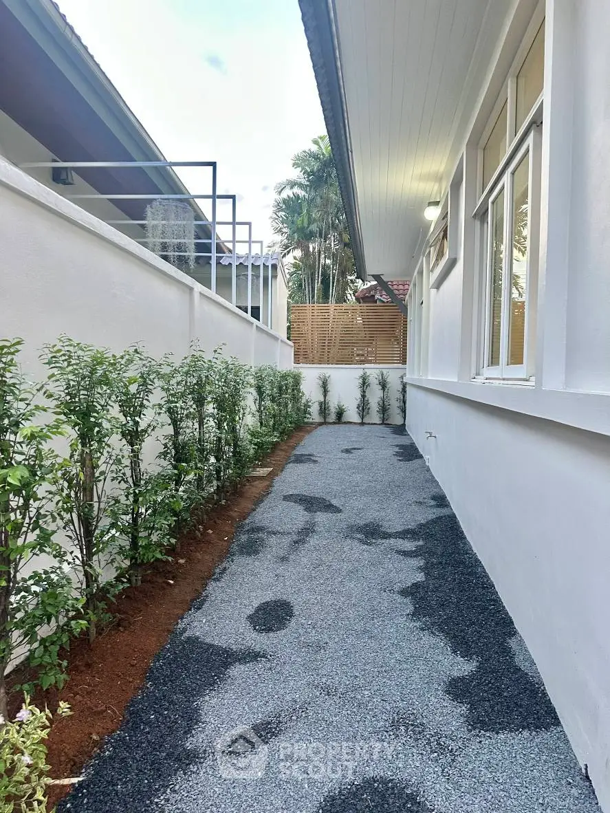 Charming side pathway with fresh landscaping in modern residential area.