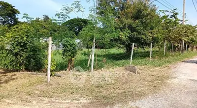 Spacious plot of land with lush greenery and potential for development.