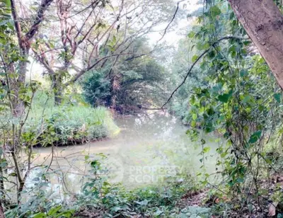 Screenshot 2026-03-28 200616.png