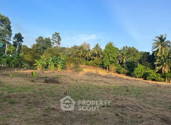 image_rental-13892235