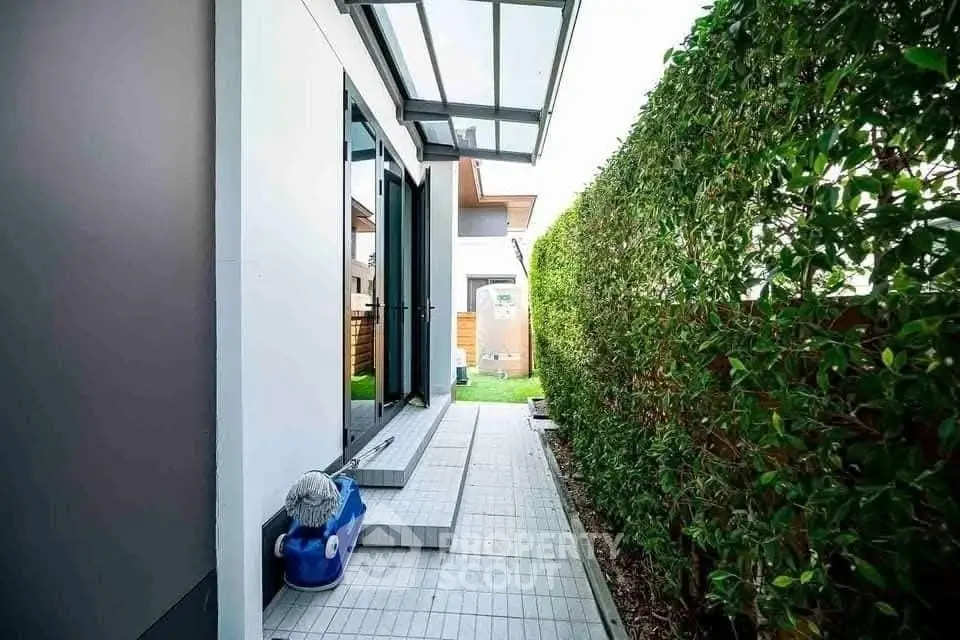 Modern exterior walkway with lush greenery and sleek design.
