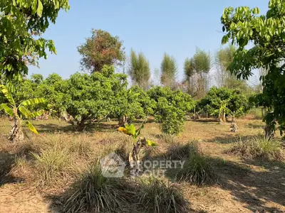 Lush green garden with diverse trees under a clear blue sky, perfect for nature lovers and outdoor enthusiasts.