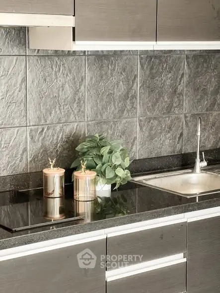 Modern kitchen with sleek cabinetry and elegant countertop featuring a stylish sink and decorative plants.